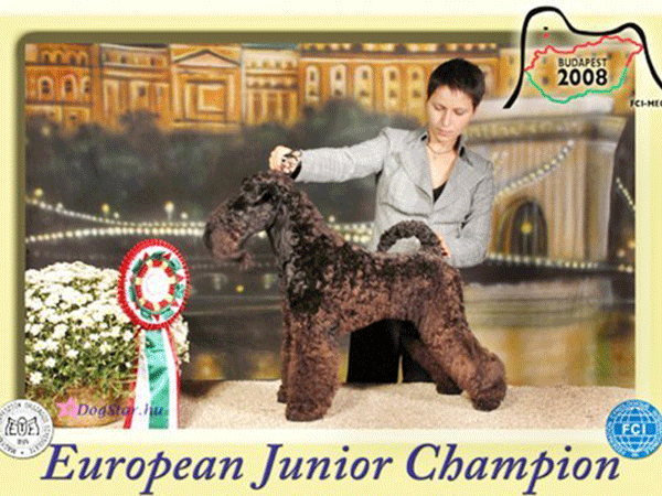 Junior Euro Winner 2008
ZAVETNAYA MECHTA AZHIOTAZH